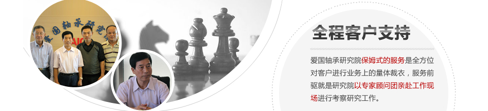 軸承品牌,愛國軸承,替代進口軸承